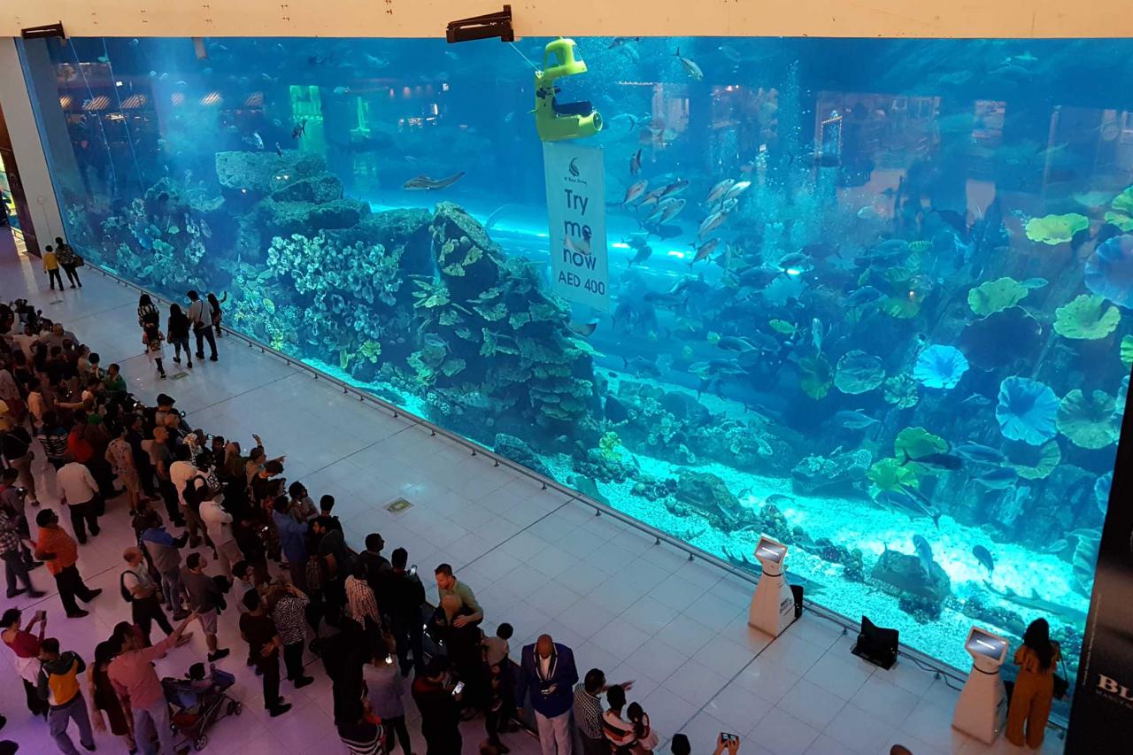 Dans ce mall, le plus grand aquarium du monde (10 millions de litres d’eau)