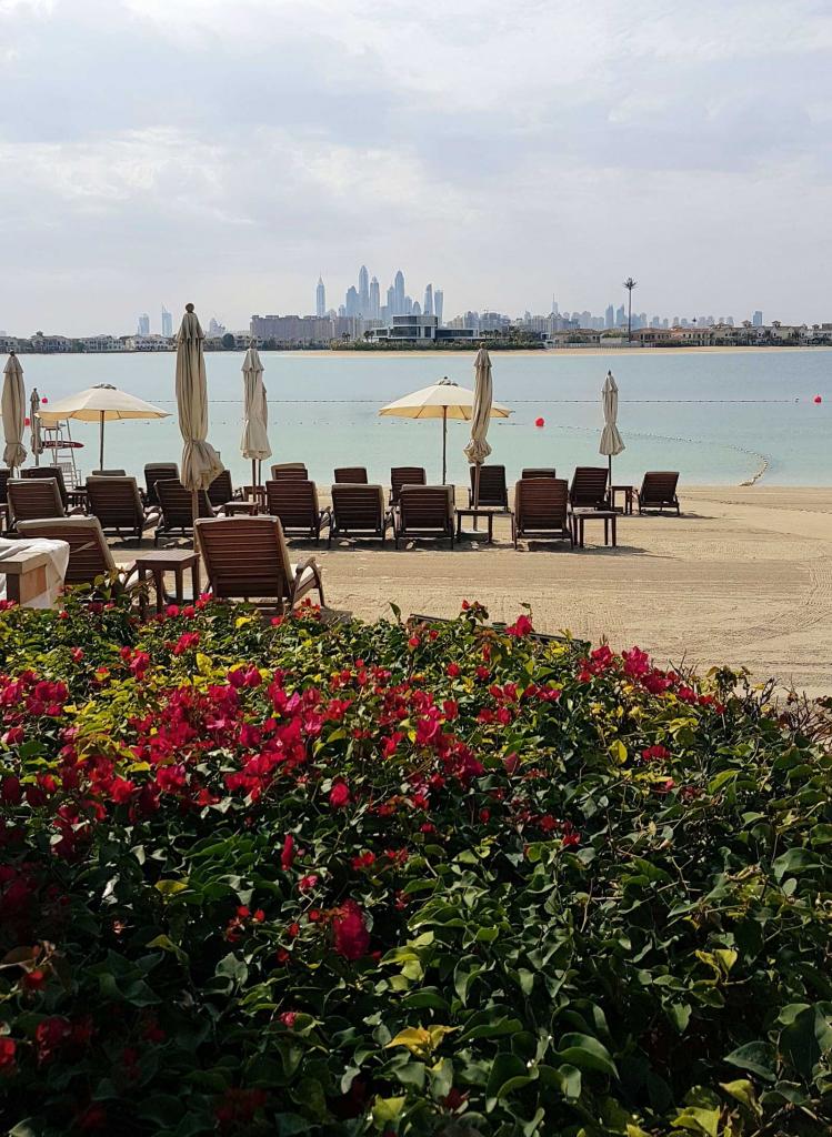 juste un petit coup d'oeil sur Dubaï vue de la palme