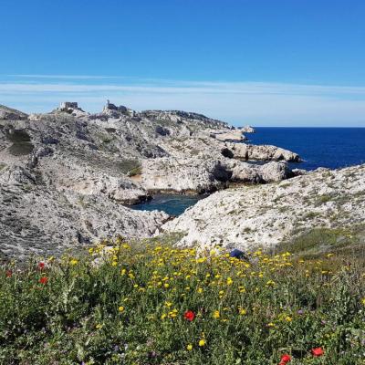 Les îles du Frioul, face à Marseille