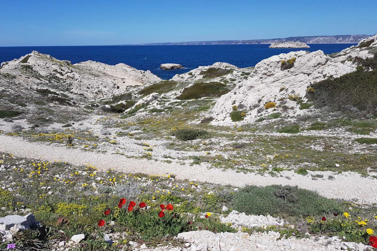 Les îles du Frioul, face à Marseille