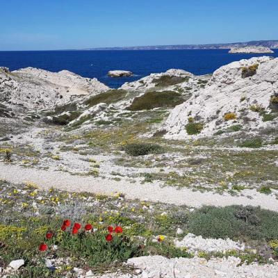 Les îles du Frioul, face à Marseille