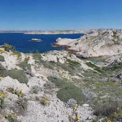 Les îles du Frioul, face à Marseille