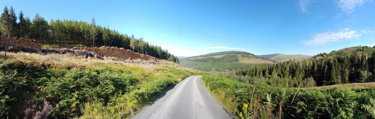 paysage des monts du Wicklow (Est de l'Irlande et proche de Dublin)