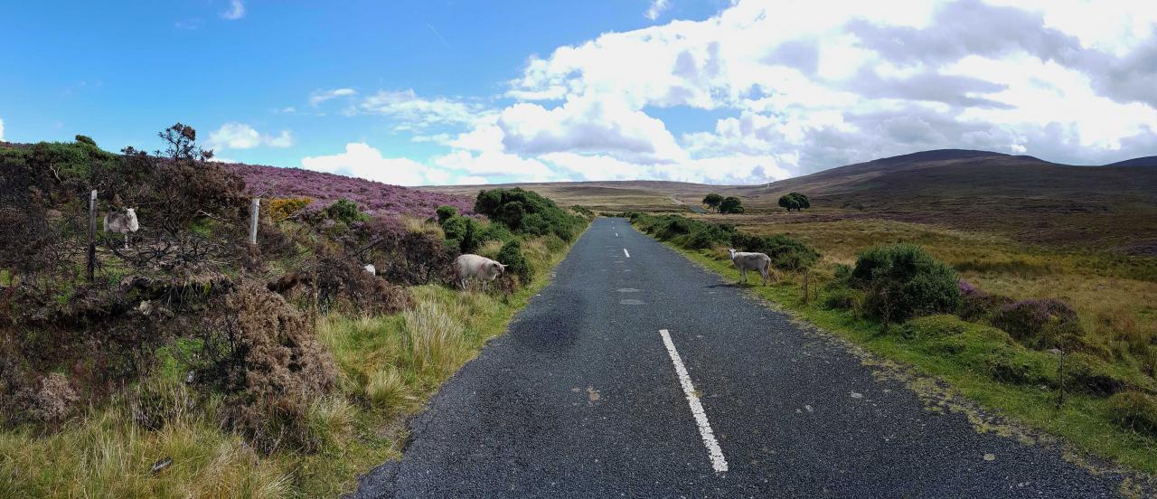 La Old Military Road est une route touristique  ...