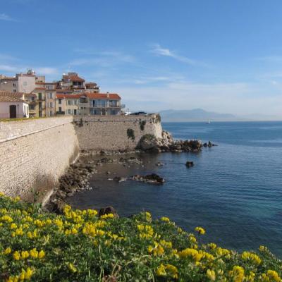 Les remparts d'Antibes (mars 2011) S95