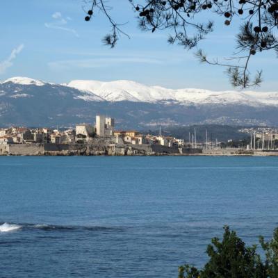 Antibes janvier 2009 - G10