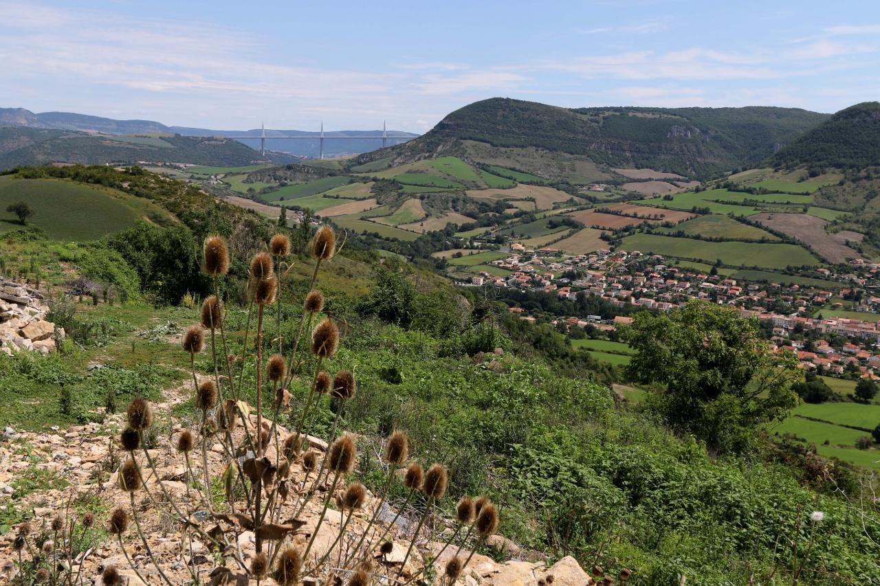 Le viaduc vu de la route vers Saint Affrique