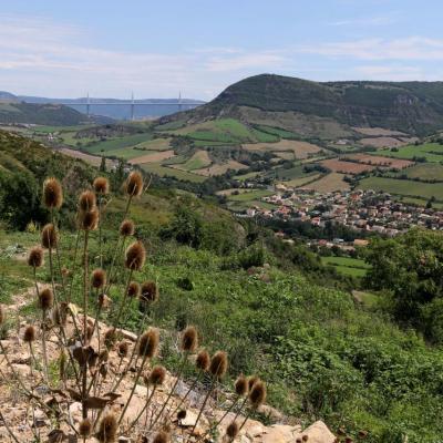 Le viaduc vu de la route vers Saint Affrique