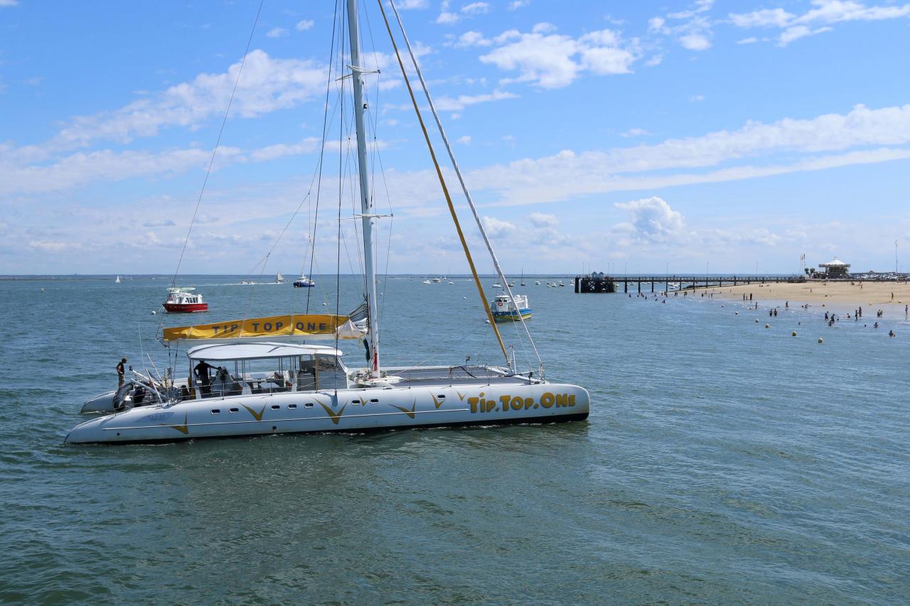 Découverte du bassin d'Arcachon sur le catamaran TIP TOP ONE le top !