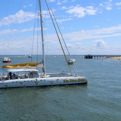 Découverte du bassin d'Arcachon sur le catamaran TIP TOP ONE le top !