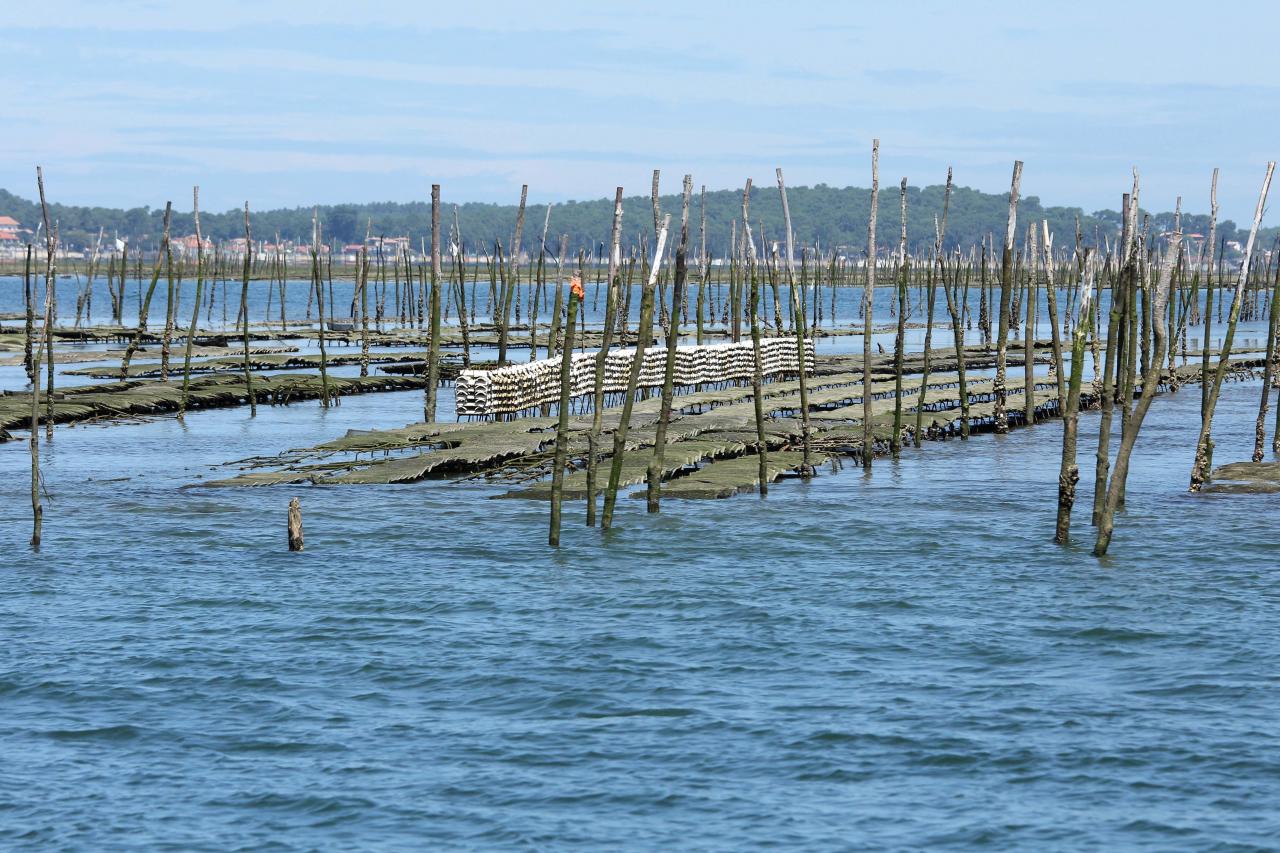 Les parcs à huîtres du bassin d'Arcachon