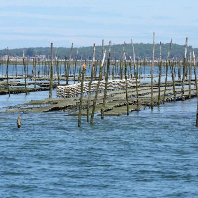 Les parcs à huîtres du bassin d'Arcachon