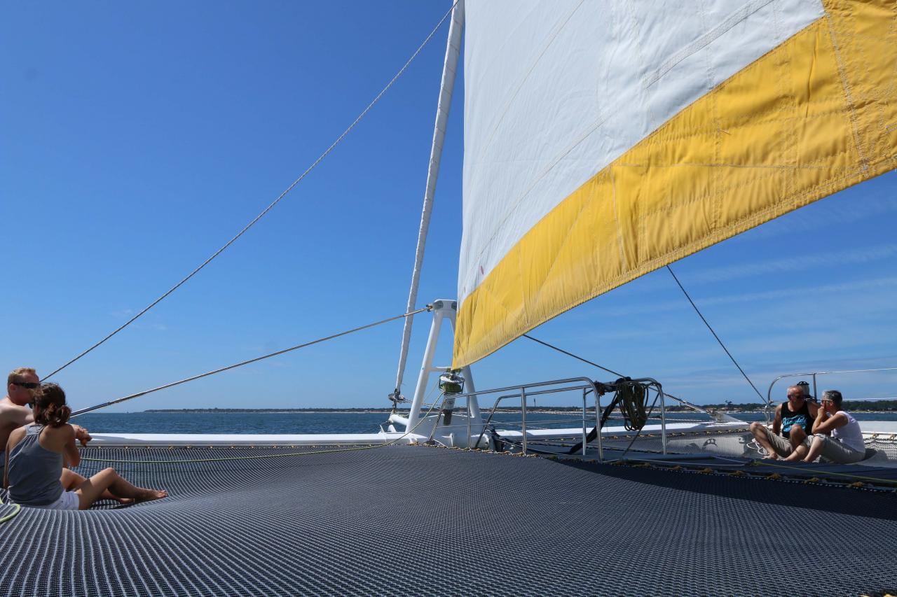 Découverte du bassin d'Arcachon sur le catamaran TIP TOP ONE le top !