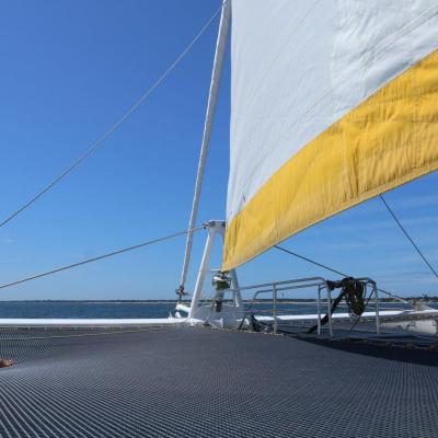 Découverte du bassin d'Arcachon sur le catamaran TIP TOP ONE le top !