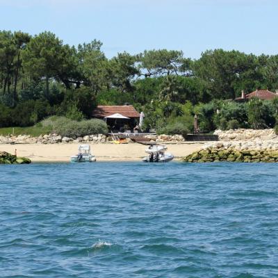 Découverte du bassin d'Arcachon sur le catamaran TIP TOP ONE le top !