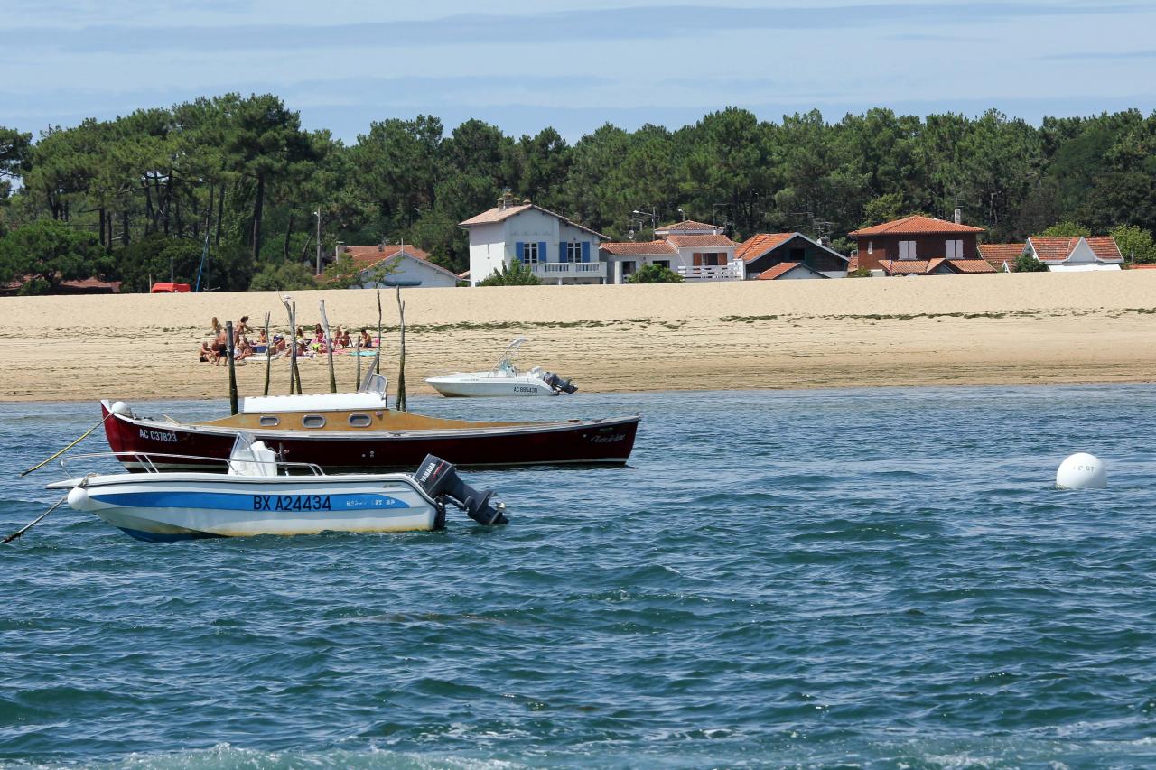 Découverte du bassin d'Arcachon sur le catamaran TIP TOP ONE le top !