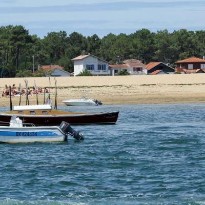 Découverte du bassin d'Arcachon sur le catamaran TIP TOP ONE le top !