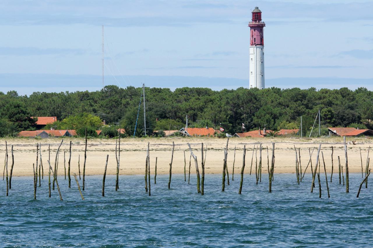 Découverte du bassin d'Arcachon sur le catamaran TIP TOP ONE le top !