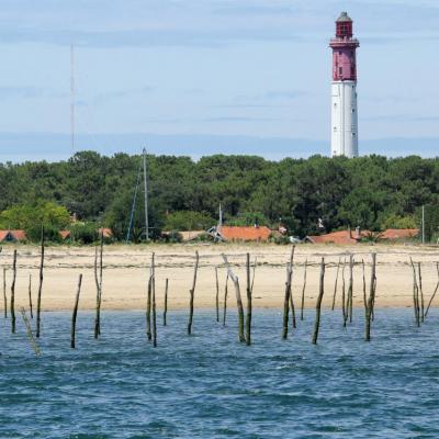 Découverte du bassin d'Arcachon sur le catamaran TIP TOP ONE le top !