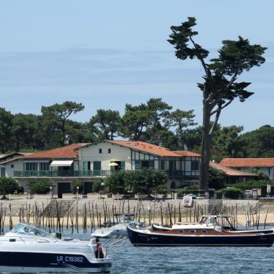 Découverte du bassin d'Arcachon sur le catamaran TIP TOP ONE le top !