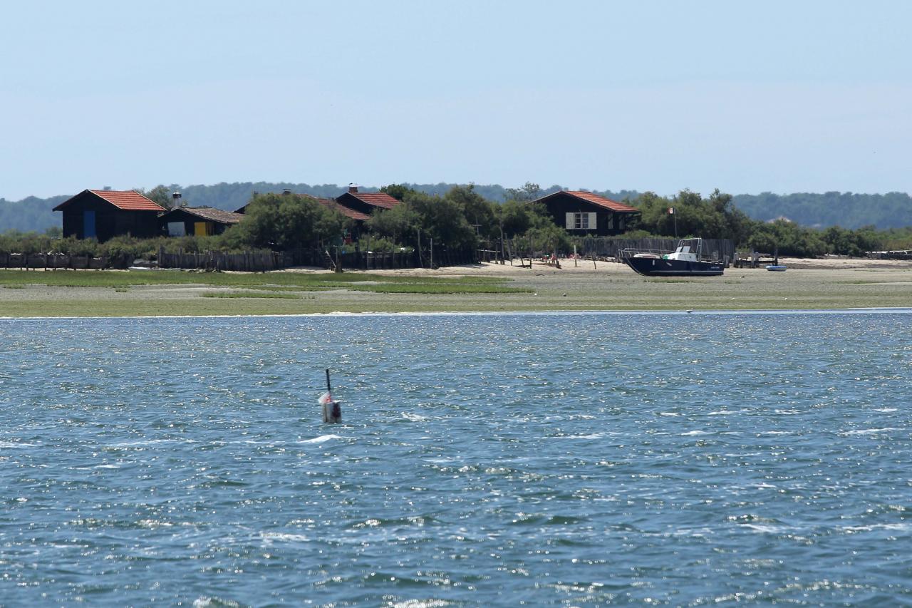 l'île aux oiseaux