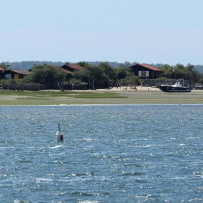 l'île aux oiseaux