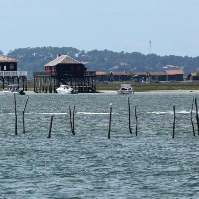 les célèbres cabanes tchanquées sur l'île aux oiseaux