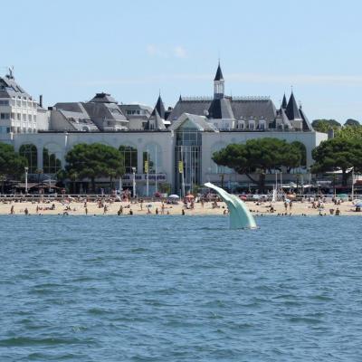 Découverte du bassin d'Arcachon sur le catamaran TIP TOP ONE le top !