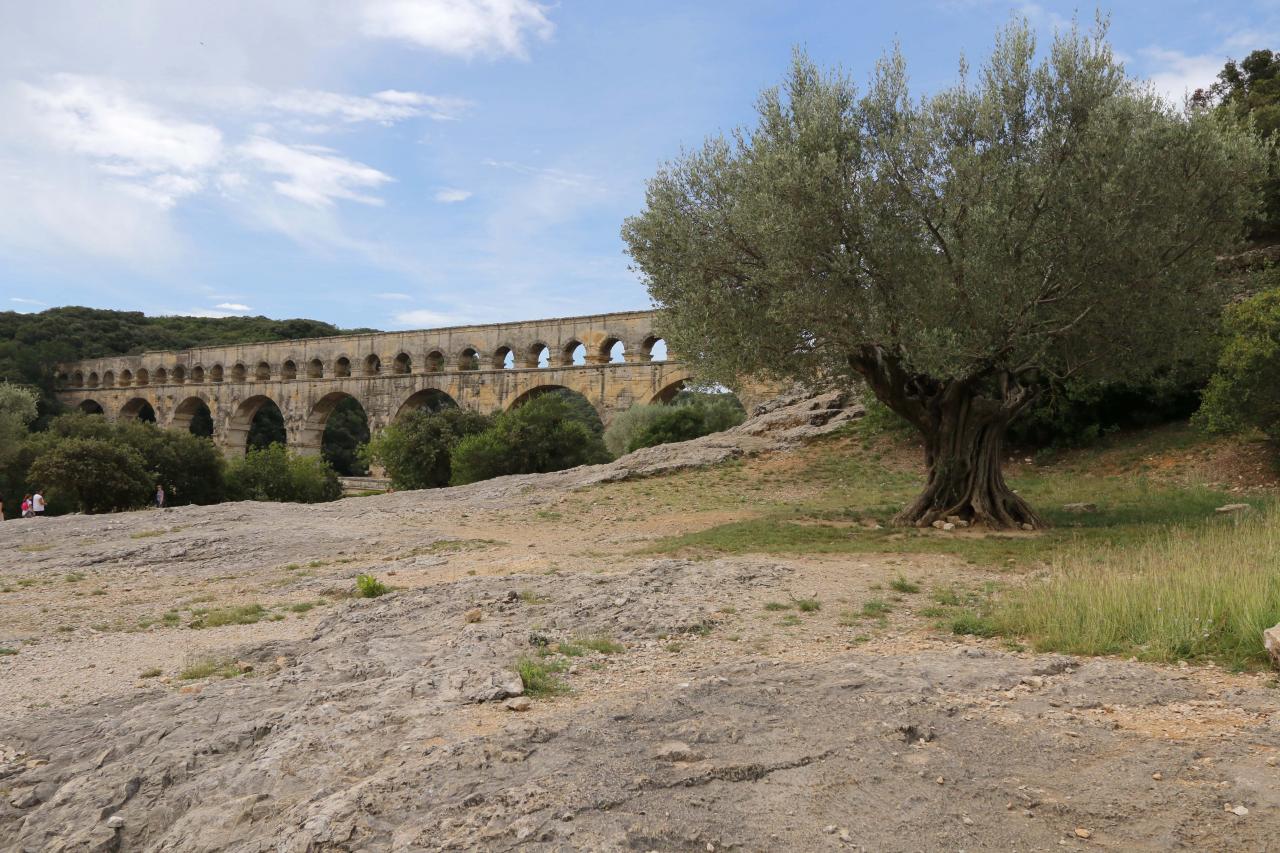 Arrivée sur le cadre prestigieux et naturel du Pont du Gard