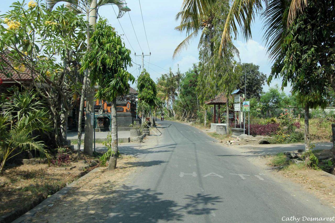 Direction le Tanah Lot avec G.D