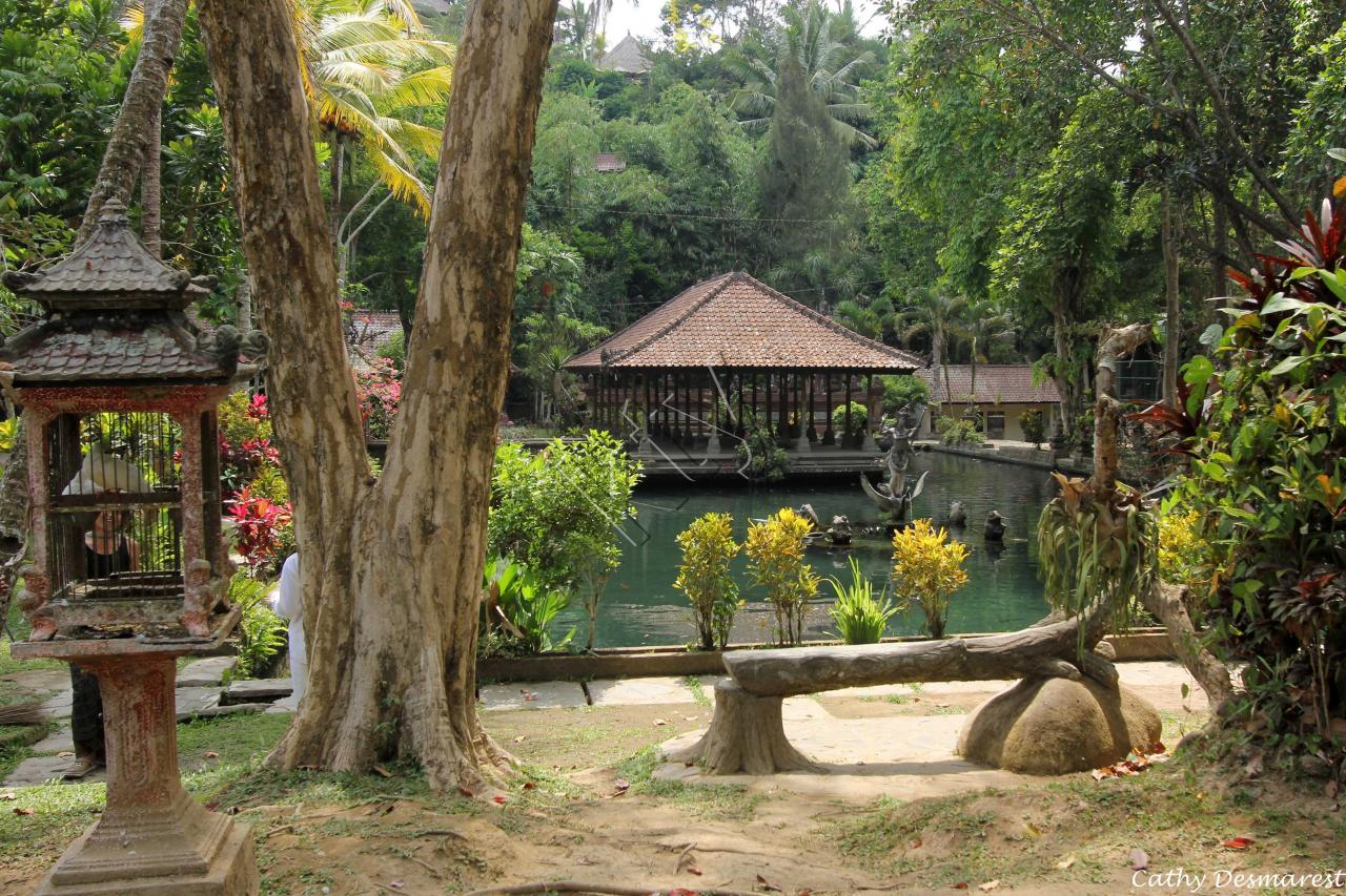 Bali 2459_GF