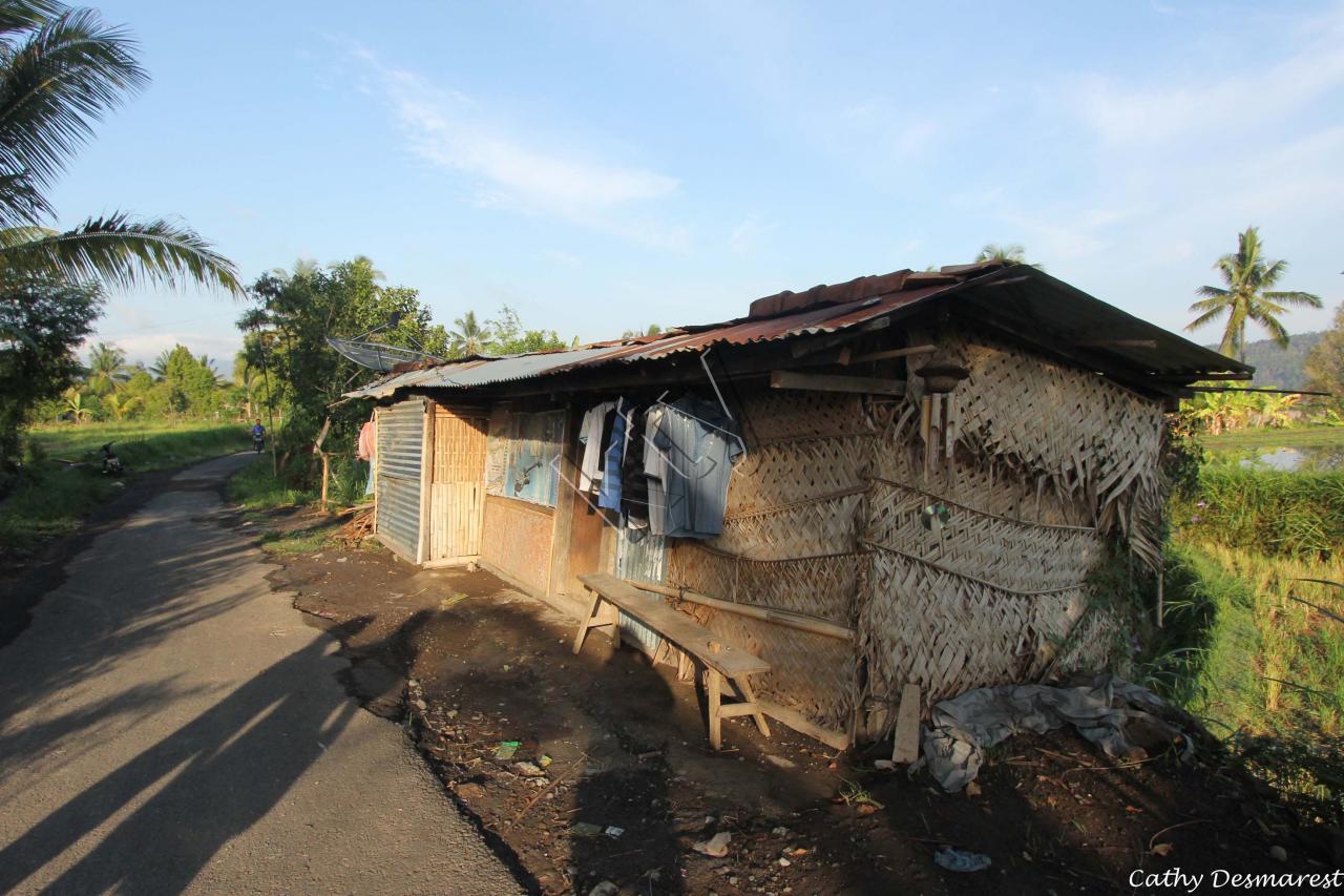 traditionnelle habitation