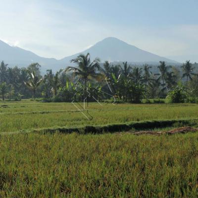 Tôt le matin, les volcans et montagnes ne sont pas dans les nuages