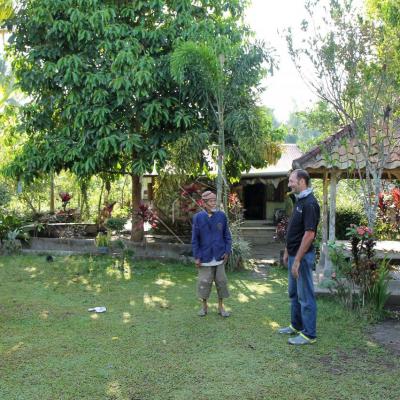 Un jardin très propre et bien garni de fruits et légumes