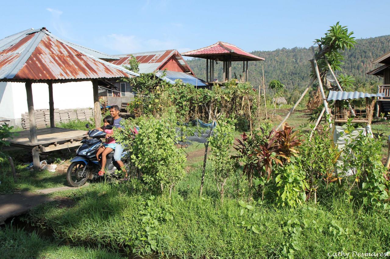 habitations perdues au milieu des rizières