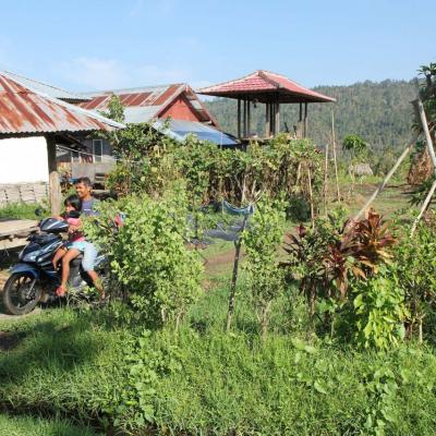 habitations perdues au milieu des rizières