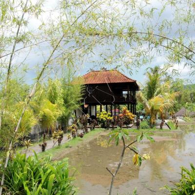 départ de la Villa ATRES pour Gilimanuk puis le Kawah Ijen