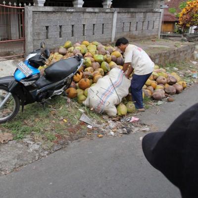 Noix de coco vénérée, rien ne se perd