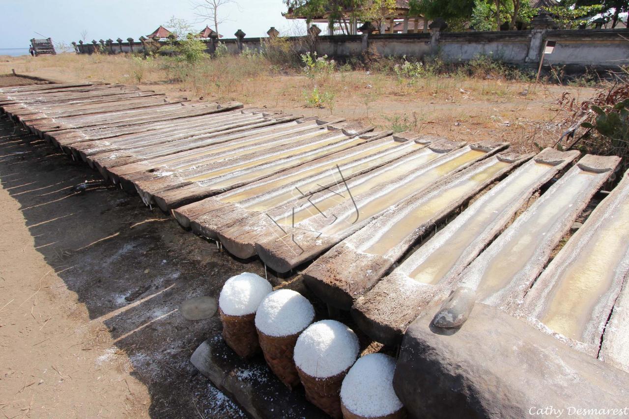 troncs de palmier où s'égoutte le sable mouillé pour obtenir le sel