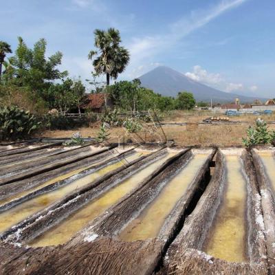 troncs de palmier où s'égoutte le sable mouillé pour obtenir le sel