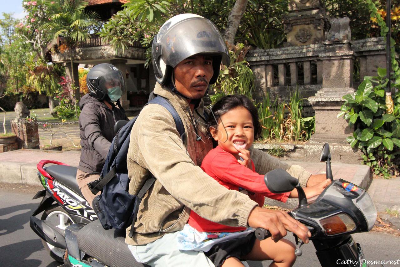 Aux alentours de Ubud