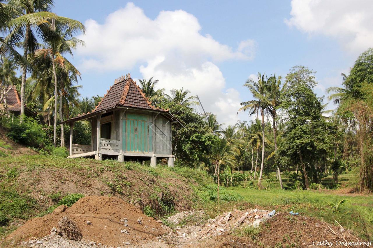 Aux alentours de Ubud