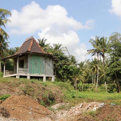 Aux alentours de Ubud