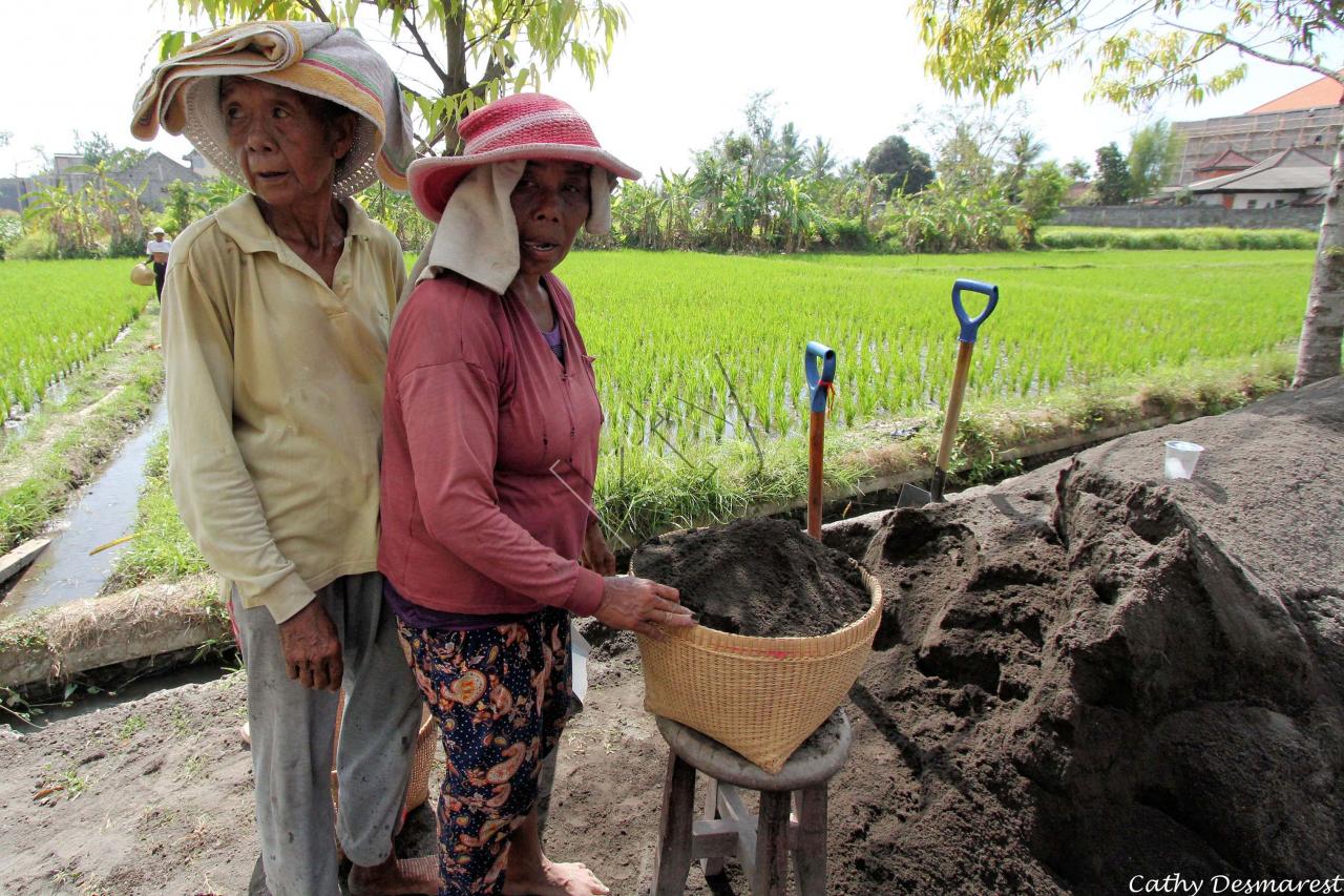 Aux alentours de Ubud