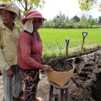 Aux alentours de Ubud