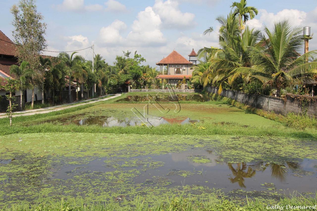 Ubud