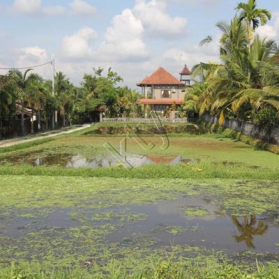 Ubud