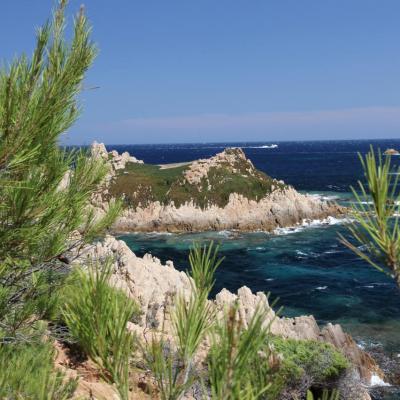 Cap Camarat dominant la presqu'île de Saint-Tropez