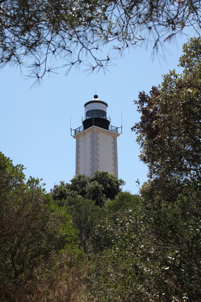 Cap Camarat dominant la presqu'île de Saint-Tropez