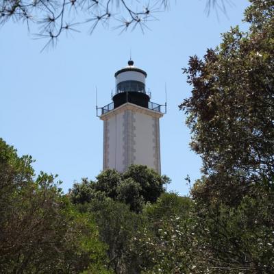 Cap Camarat dominant la presqu'île de Saint-Tropez